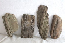 Schwemmholz Treibholz 4