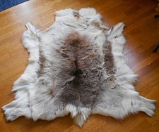 Wunderschönes R E N T I E R -