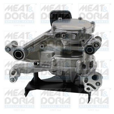 Meat doria 91240 - &,