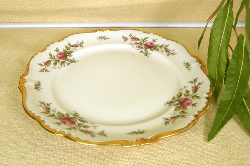 Rosenthal pompadour moosrose - rosenthal,