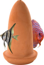 Superfish aquarium - superfish,
