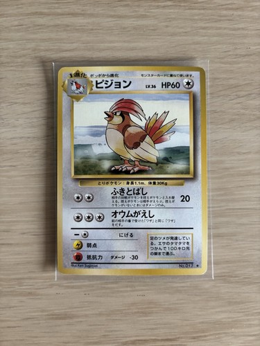 Pidgeotto 17 - pidgeotto, no.17