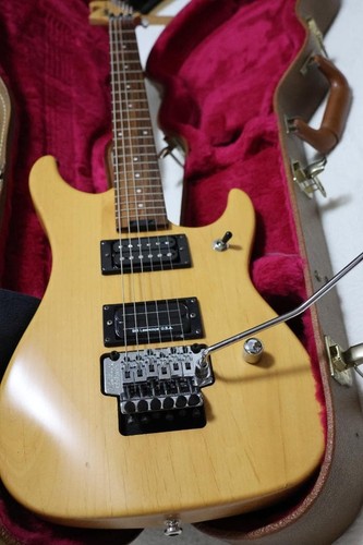 Washburn nuno bettencourt - washburn,