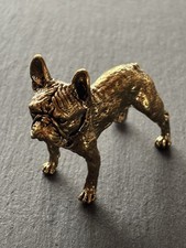 Französische Bulldogge aus