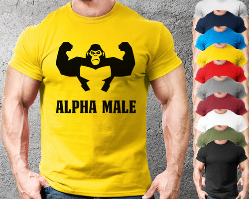Alpha male gym - alpha,