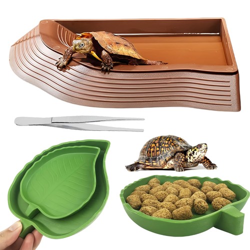 1 schildkröten - 4,