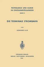L. Illig | Die Terminale Strombahn | Taschenbuch | Deutsch (2012) | xii