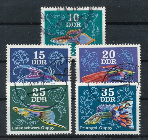 Ddr 1976 2176 - 1976,