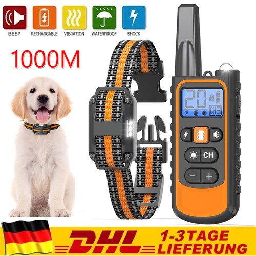 1000m hund ausbildung - hund,
