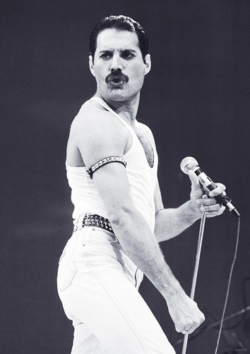 Poster queen freddie mercury - freddie,