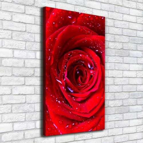 Leinwand bild kunstdruck - leinwand-bild,