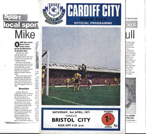 Cardiff city bristol 3 - bristol,