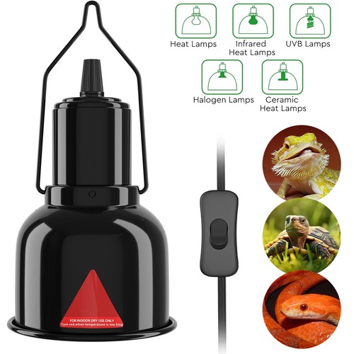Terrarium dome lampenfassung - terrarium,