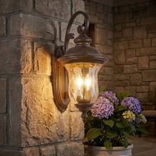 22" Outdoor Wall Light Royal