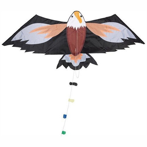 Happy people drachen - drachen, seeadler