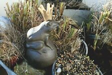 Wasserspeier Froschkönig