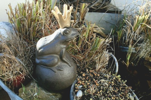 Wasserspeier froschkönig - wasserspeier,