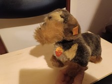 Steifftier Knopf im Ohr