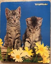 Voigtländer Reklame