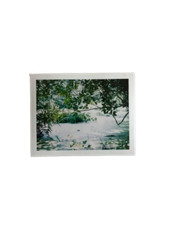 Mark Borthwick signierter