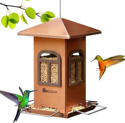 Buzzeap vogelfutterstation