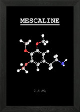 Gerahmtes Wandbild Meskalin