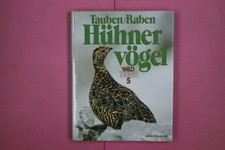 298314 Bruno Dittrich