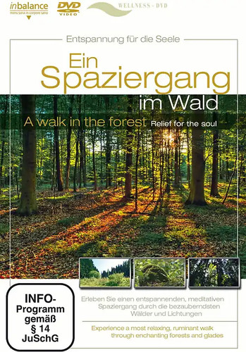 Ein spaziergang wald - ein, im