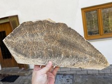 Riesige Platte mit Dentriten