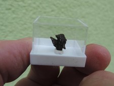 Meteorit - Sikhote Alin aus