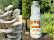 Bio Austernpilz Körner Körnerbrut Pilzbrut - Pilze selber züchten 