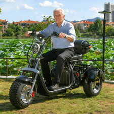 2000W Elektrisches Dreirad