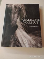 das arabische Vollblut