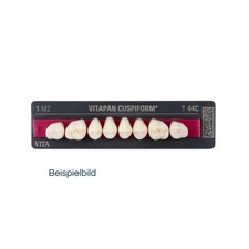 Vitapan Cuspiform Synoform -