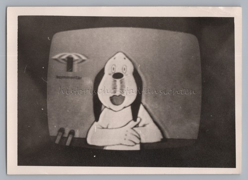 Wum hund fernseher - wum,