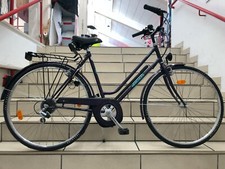 Hercules Sunshine Lager