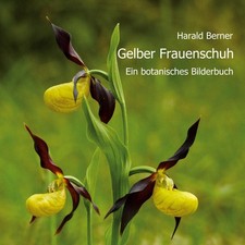 Gelber Frauenschuh Harald