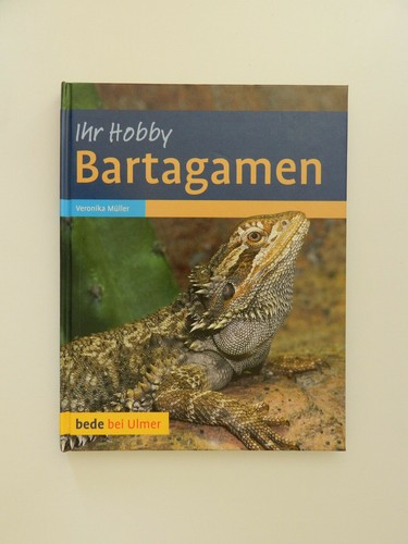 Bartagamen veronika müller - veronika,