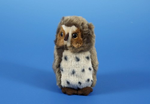 Mini eule waldkauz - eule,