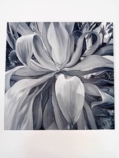 Ölgemälde Pflanze Agave