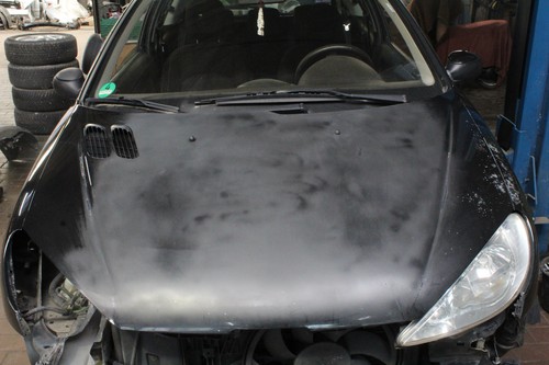 Motorhaube - , (