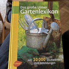 Das große Ulmer