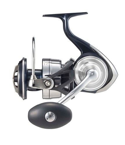 Daiwa certate - daiwa, sw
