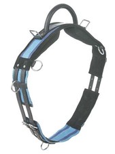  Busse Longiergurt mit Handgriff zum Longieren ohne Sattel MSh, Sh, P, VB/WB