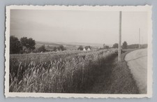 Bad Brambach 1958 - Weg zur