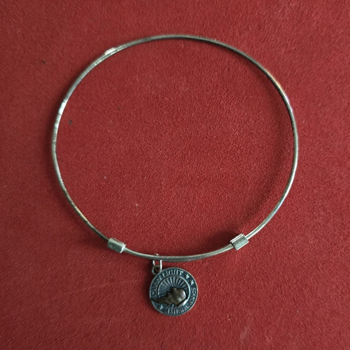 Alex and ani liberty copper - alex,