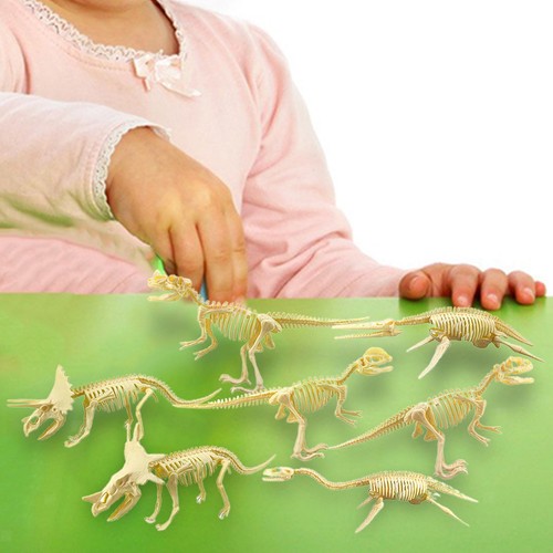 Dinosaurier skelettmodelle - dinosaurier,