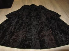 Breitschwanz Persianer ca