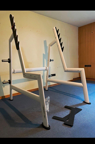 Gym modell sygnum - modell,