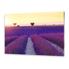 Acrylglasbilder wandbild aus - acrylglasbilder,